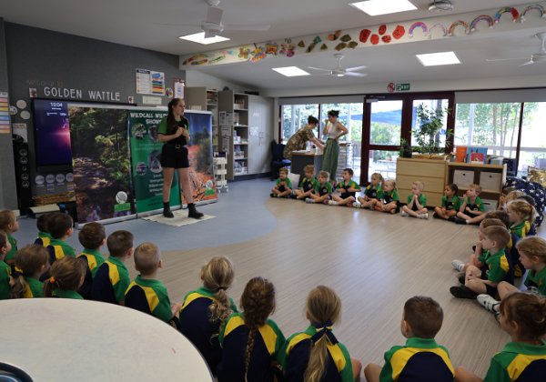 Kindy Wildlife Show